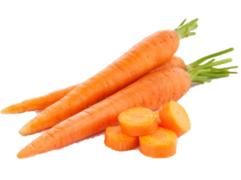 Carrot JBO