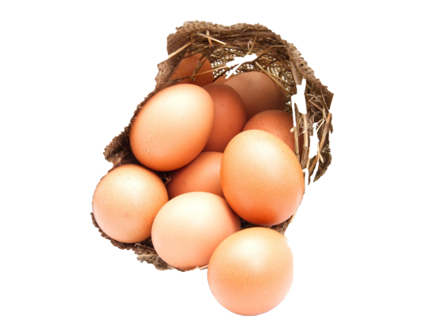 Free-Range Chicken Egg