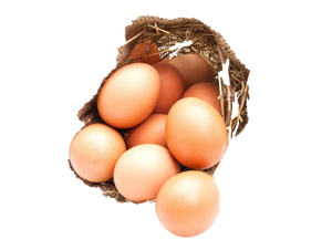 Free-Range Chicken Egg